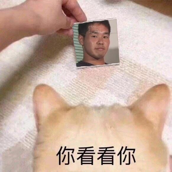你看看你